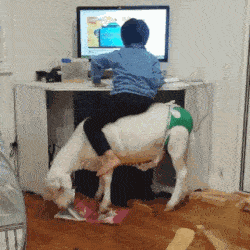 007VJYOdly4gi9rvnwqudg306y06yu0x.gif 007VJYOdly4gi9rvnwqudg306y06yu0x.gif