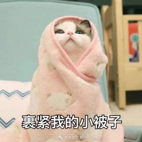 667cf8b1ly4gkry35zgmej20dw0dwq37.jpg 667cf8b1ly4gkry35zgmej20dw0dwq37.jpg