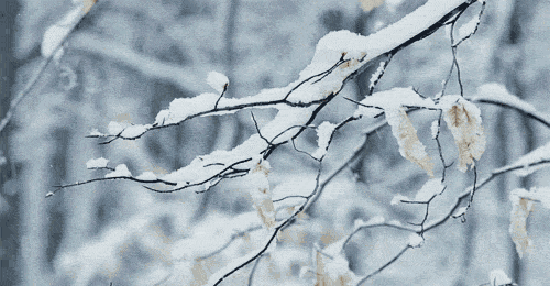 667cf8b1ly4gmck0putw1g20dw078b29.gif 667cf8b1ly4gmck0putw1g20dw078b29.gif