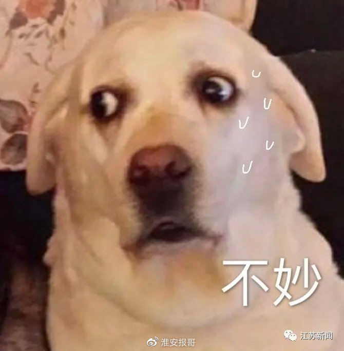 006XPvN7ly4go0pyd5352j30im0j0aab.jpg 006XPvN7ly4go0pyd5352j30im0j0aab.jpg