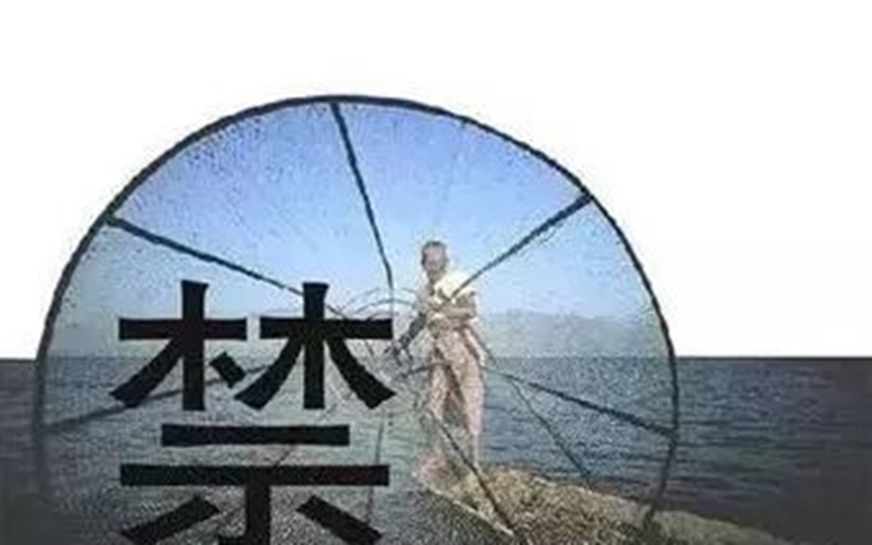 667cf8b1ly4gripfmolyyj20m80dw47v.jpg 667cf8b1ly4gripfmolyyj20m80dw47v.jpg