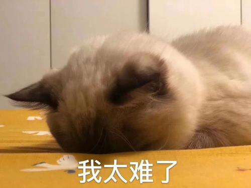 1512549412yuan.jpg